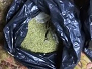 У воронежца обнаружили марихуану.