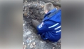Авиабомбу уничтожили.