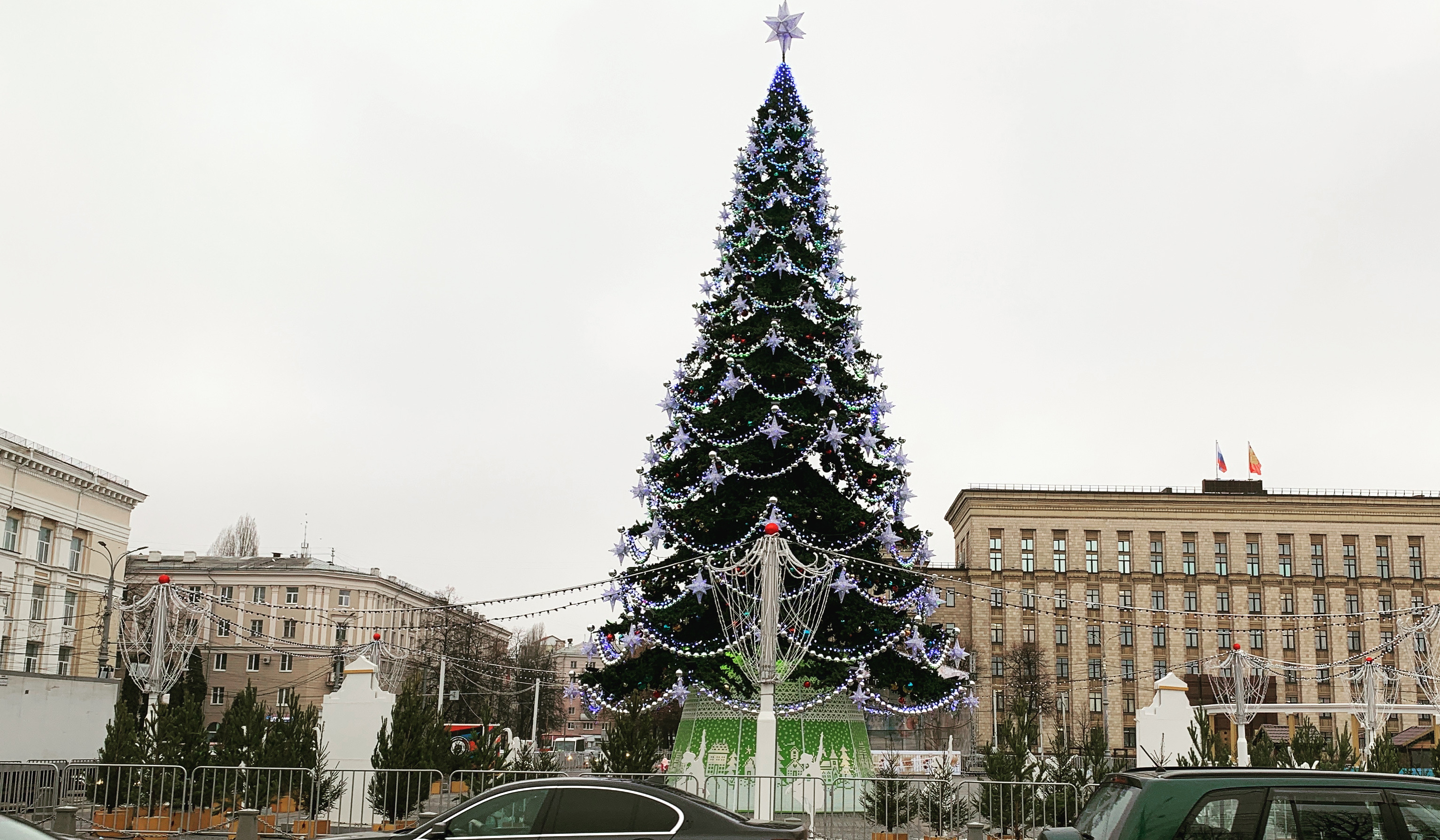 елка в воронеже на площади