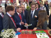 Воронежская делегация на выставке «Зеленая Неделя — 2020».