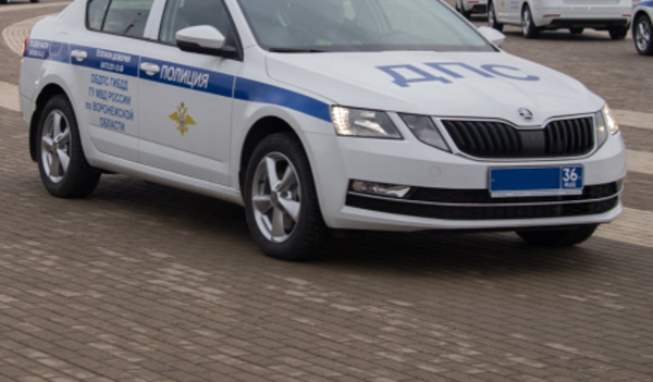 škoda octavia полиция