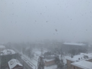 В Воронеже начался снегопад.