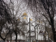 Погода радует теплой этой зимой.