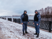 Росгвардейцы задержали злоумышленника.