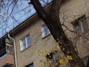 Щенок упал с высоты 5 этажа.