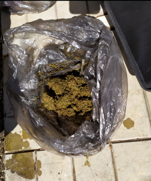 1 кг марихуаны где узаконили марихуану