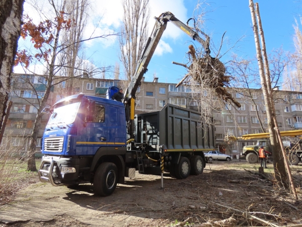 Санитарная обрезка деревьев в Воронеже.