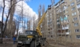 Санитарная обрезка деревьев в Воронеже.