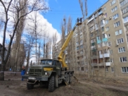 Санитарная обрезка деревьев в Воронеже.