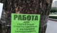 В Воронежской области разработают меры борьбы с безработицей.