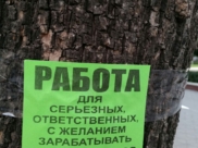 В Воронежской области разработают меры борьбы с безработицей.