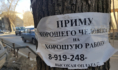 Работа в Воронеже.