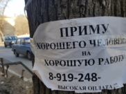 Работа в Воронеже.