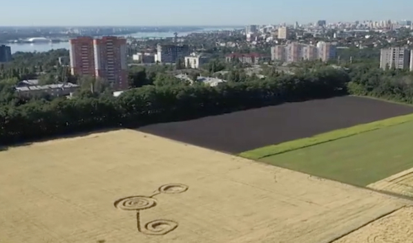 Необычные круги появились на поле в Воронеже.