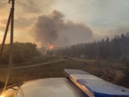 Лесной пожар в Воронежской области.