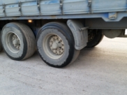 Грузовик с кукурузой так и не приехал.