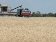 Воронежские аграрии собирают урожай.