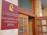 Воронежская городская Дума.