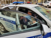 ДПС.