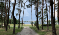 Воронеж.