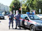 Водителя задержали сотрудники Росгвардии.