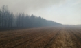 С огнем боролись больше суток.