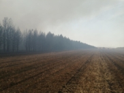 Пожар в Бобровском районе локализовали.