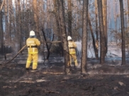 Один из пожаров, случившихся недавно в Воронежской области.
