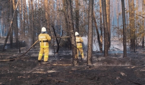 Один из пожаров, случившихся недавно в Воронежской области.
