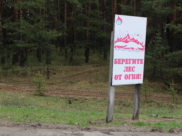 Лес.