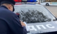 Гаишники устроили рейд.