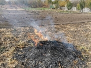 Разводить костры сейчас запрещено.