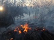 Пожары в Воронежской области.