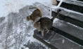 В ближайшие дни похолодает.
