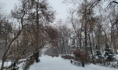 Воронеж.