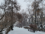 Воронеж.