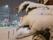 Воронеж.