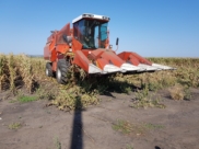 На сельхозпредприятиях появятся новые рабочие места.