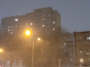«Новости Воронежа» сообщают подробности