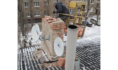 В Воронеже ремонтируют оголовки на крыше дома.