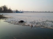 Воронеж.