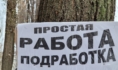 Воронежцы в среднем находят работу за 5 месяцев.