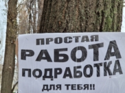Воронежцы в среднем находят работу за 5 месяцев.