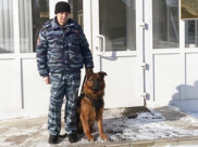 Сергей Чупов и овчарка Оскар.