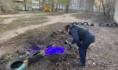 СК расследует дело.