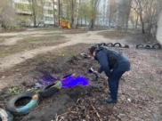 СК расследует дело.