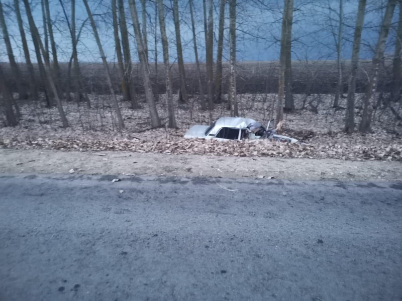 Авария случилась в Лискинском районе.