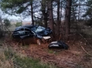 Opel Astra врезался в дерево.