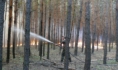 Лесной пожар.