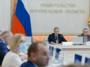 Совещание в правительстве Воронежской области.